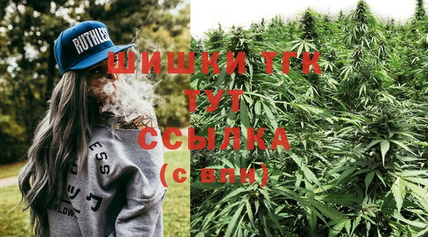 спиды Абинск