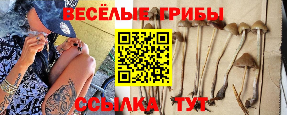 Отрадный  что такое   Галлюциногенные грибы ЛСД  Вход с VPN  Галлюциногенные грибы мухоморы 